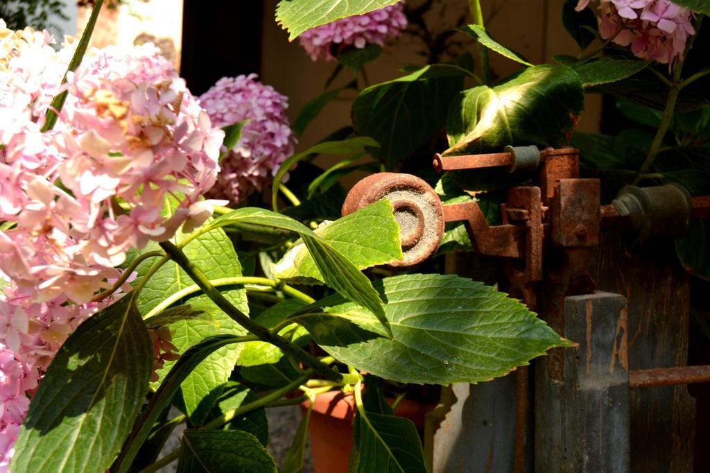 Marakasa B&B Sant Antoni De Calonge Dış mekan fotoğraf